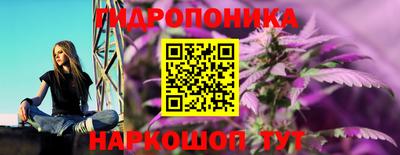 jwh Владивосток