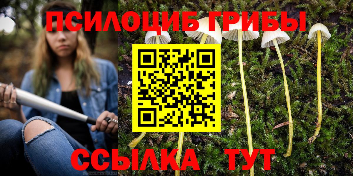 Галлюциногенные грибы Cubensis Кинель