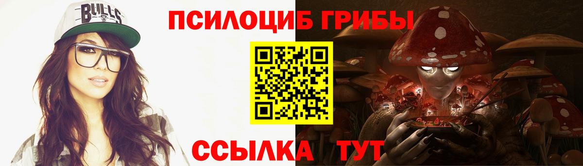 где найти   Вход с VPN  Кинель  Псилоцибиновые грибы ЛСД 